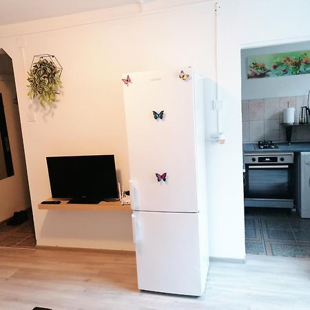 Romanilor - Studio First Floor Deva Zewnętrze zdjęcie