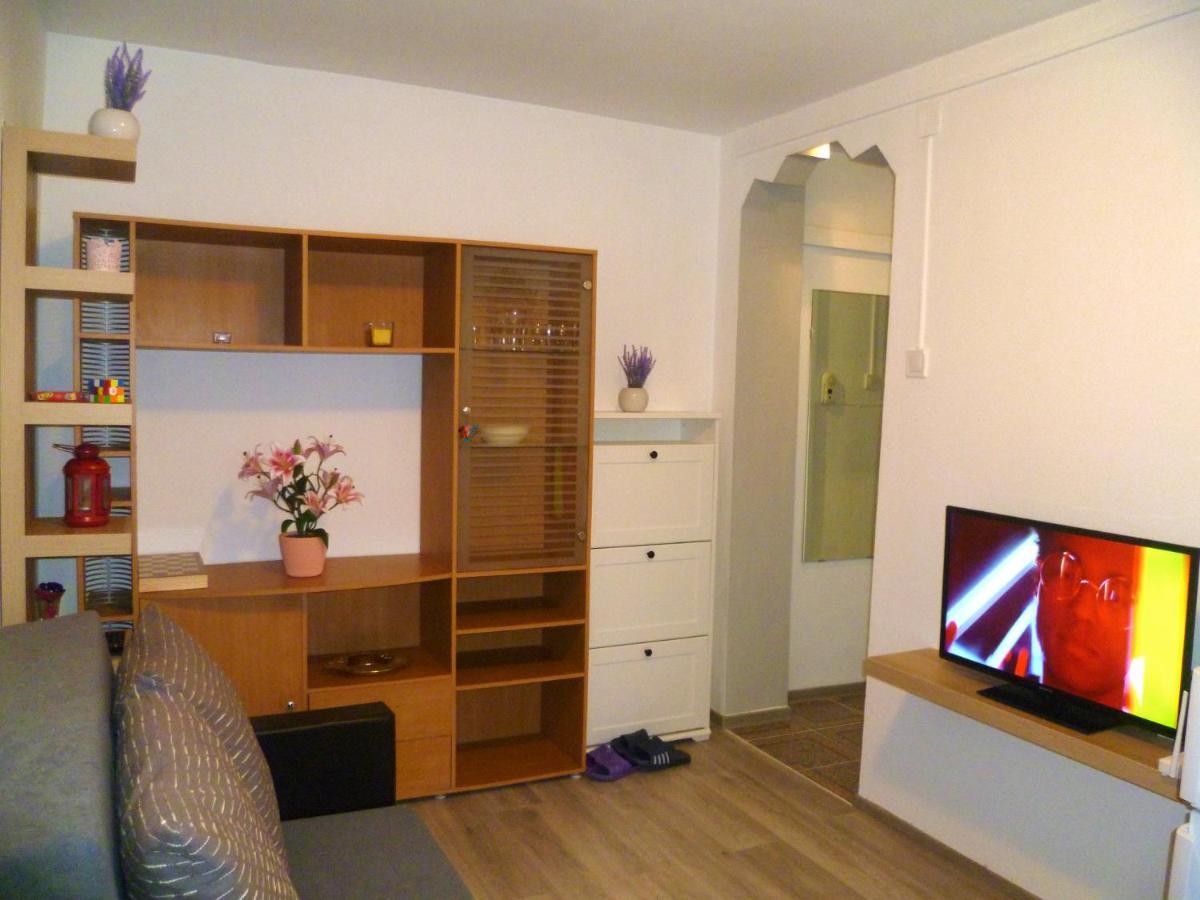 Romanilor - Studio First Floor Deva Zewnętrze zdjęcie