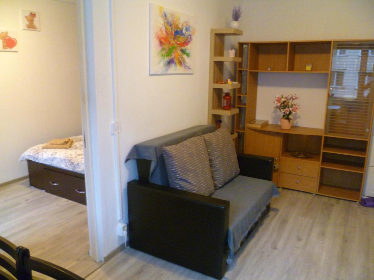 Romanilor - Studio First Floor Deva Zewnętrze zdjęcie