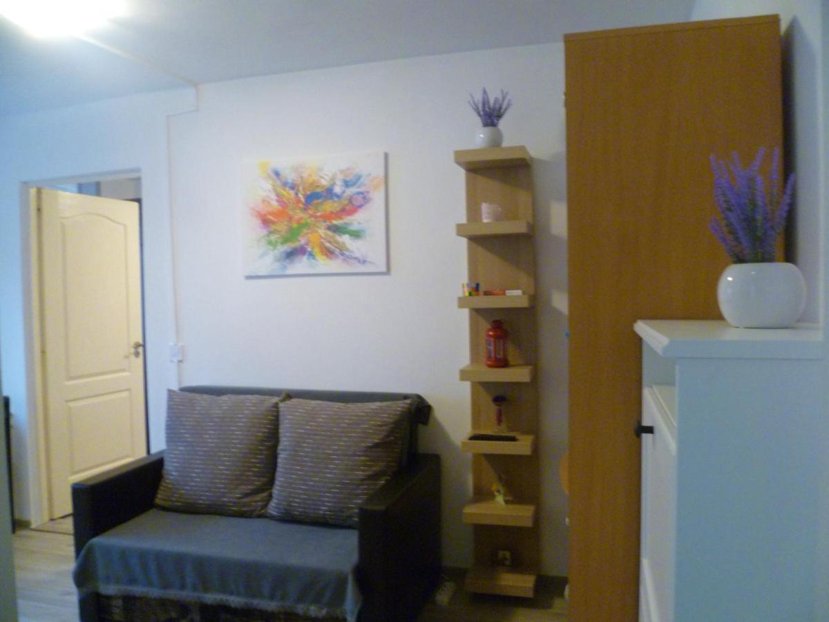Romanilor - Studio First Floor Deva Zewnętrze zdjęcie